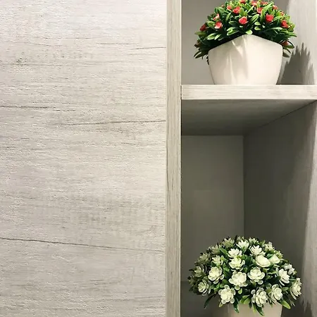 Apartment Viatorem *