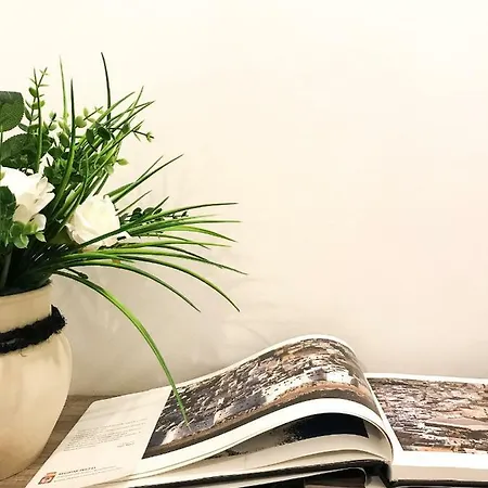 Apartament Viatorem *