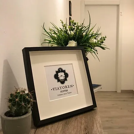 Apartment Viatorem