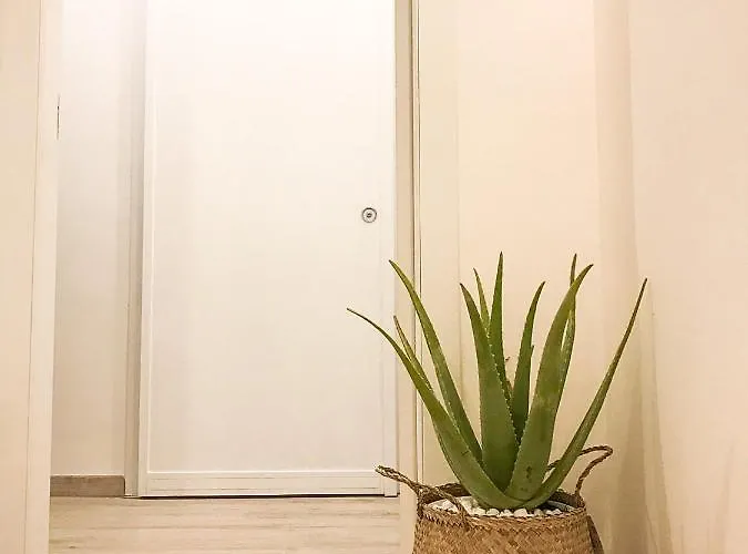 Viatorem Lägenhet Torre dell'Orso